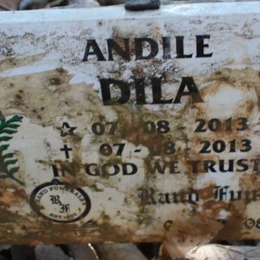 DILA Andile 2013-2013