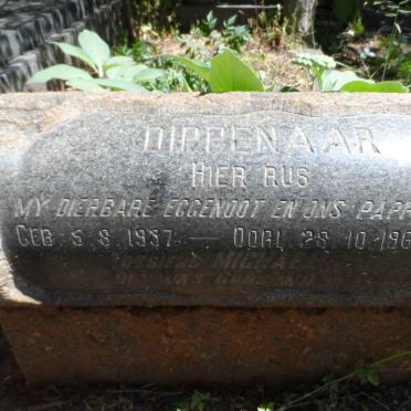DIPPENAAR Michael 1937-1967