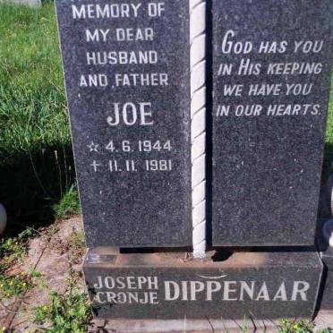 DIPPENAAR Joseph Cronje 1944-1981