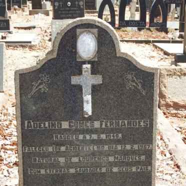 FERNANDES Adelino Gomes 1946-1957