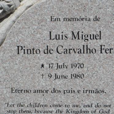 FERREIRA Luis Miguel Pinto de Carvalho 1970-1980