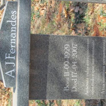 FERNANDES A.J. 1929-2007
