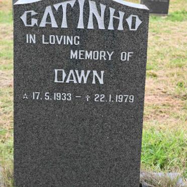 GATINHO Dawn 1933-1979