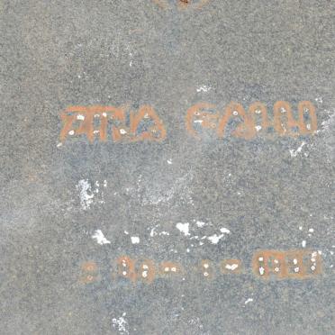 GALLI Zina -1959