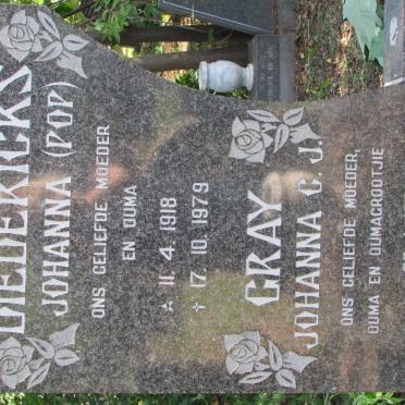 GRAY Johanna C.J. 1900-1982 :: DIEDERICKS Johanna 1918-1979