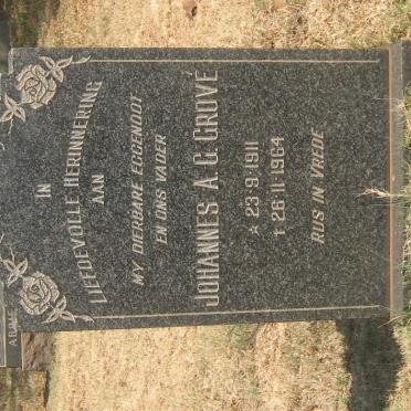 GROVE Johannes A.G. 1911-1964