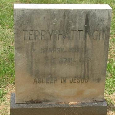 HATTINGH Terry 1956-1974