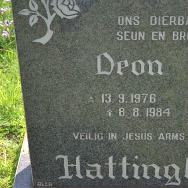 HATTINGH Deon 1976-1984