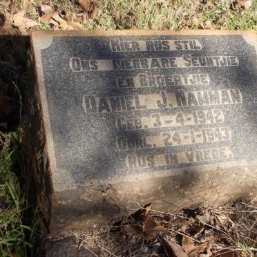 HAMMAN Daniel J. 1942-1943