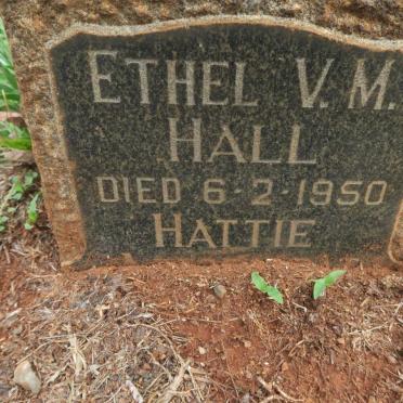HALL Ethel V.M. -1950