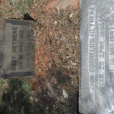 HEYNEKE Cornelus 1895-1897 :: HEYNEKE Baby 1938-