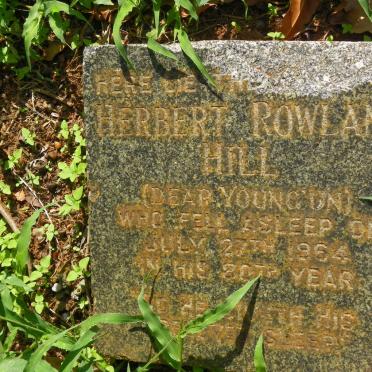 HILL Herbert Rowland -1964