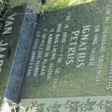 JAARSVELD Ignatius Petrus, van 1916-1981