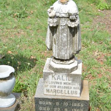 KALIL Marcellus 1955-1963
