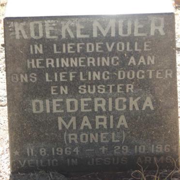 KOEKEMOER Diedericka Maria 1964-1964