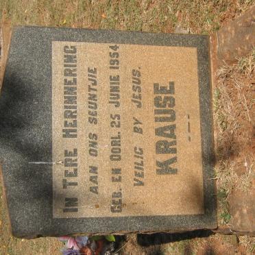 KRAUSE 1954-1954