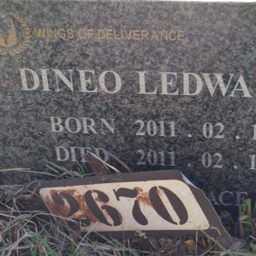 LEDWABA Dineo 2011-2011