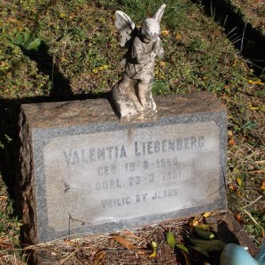 LIEBENBERG Valentia 1960-1961