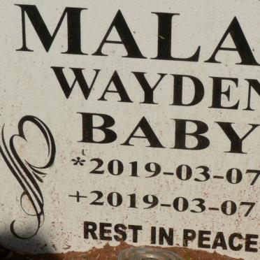 MALAN Wayden 2019-2019