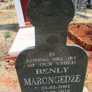 MARONGEDZE Benly 2001-2012