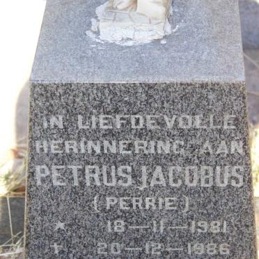 MATTHEE Petrus Jacobus 1981-1986