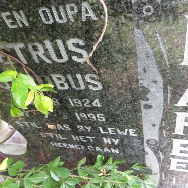 MAREE Petrus Jacobus 1924-1995