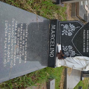 MARCELINO Manuel Jose de Matos 1934-1988