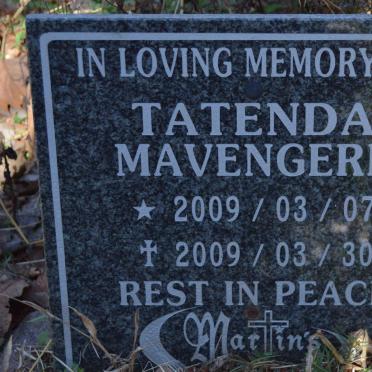 MAVENGERE Tatenda 2009-2009
