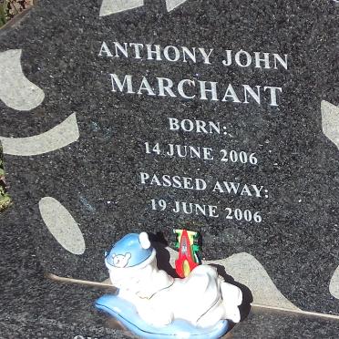 MARCHANT Anthony John 2006-2006