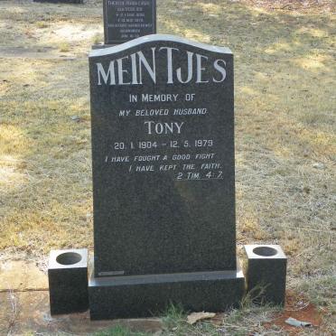 MEINTJES Tony 1904-1979