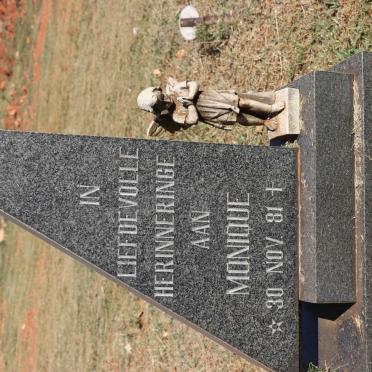 MERWE Monique, van der 1981-1981