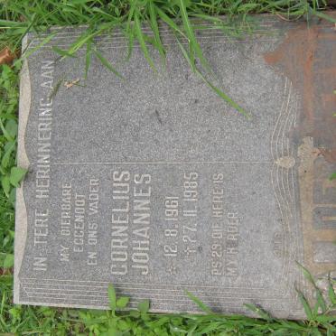 MERWE Cornelius Johannes, van der 1961-1985