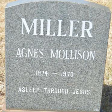 MILLER Agnes Mollison 1874-1970