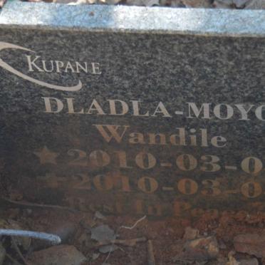 MOYO Wandile, DLADLA 2010-2010