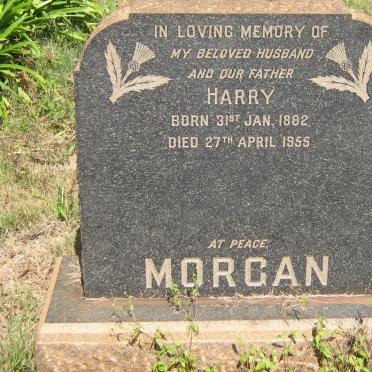 MORGAN Harry 1882-1955