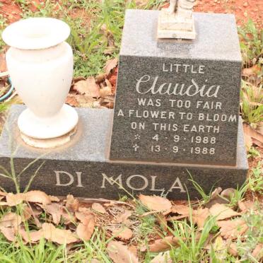 MOLA Claudia, di 1988-1988