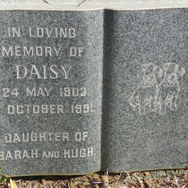 MUNRO Hugh -1946 &amp; Sarah Elizabeth -1957 :: MUNRO Victor-Boy -1946 :: MUNRO Daisy 1903-1991