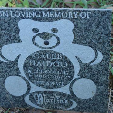 NAIDOO Caleb 2009-2009
