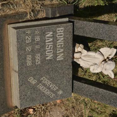 NAISON Bongani 1995-1998