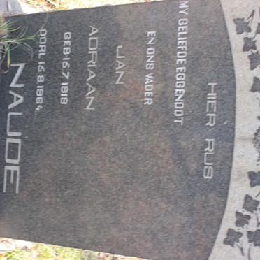 NAUDE Jan Adriaan 1919-1964