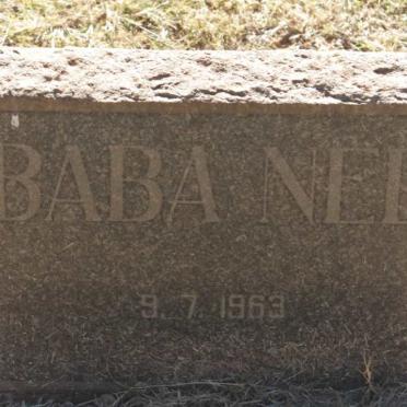 NEL 1963-1963