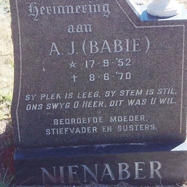NIENABER A.J. 1952-1970