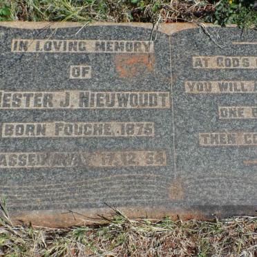 NIEUWOUDT Hester J. nee FOUCHE 1875-1954