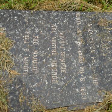 NICOLETTI Dina 1919-1993