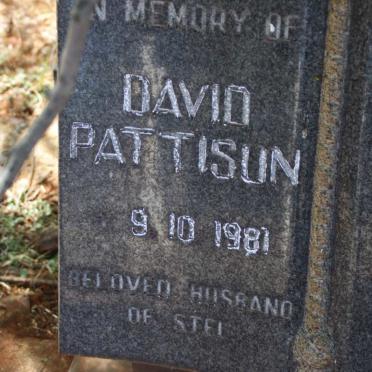 PATTISON David -1981