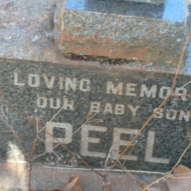 PEEL