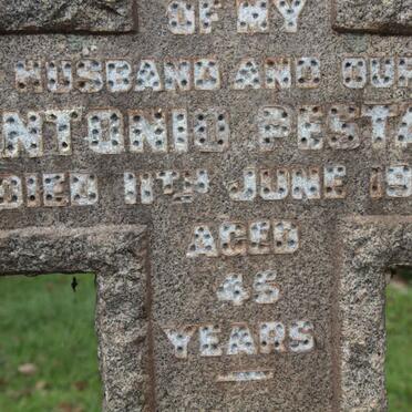 PESTANA Antonio -194? & Violet Emily 1906-1975