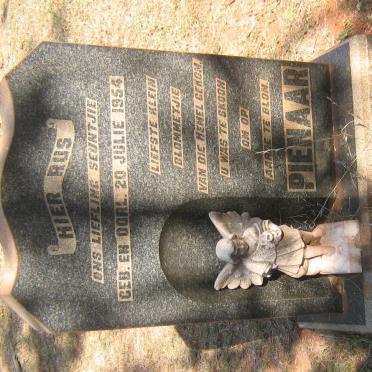 PIENAAR 1954-1954