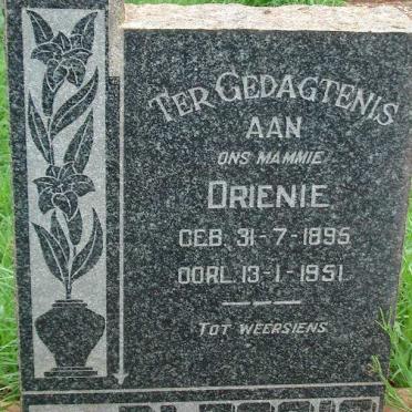 PLESSIS Drienie, du 1895-1951