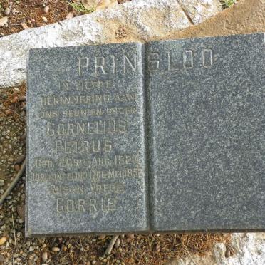 PRINSLOO Cornelius Petrus 1927-1952